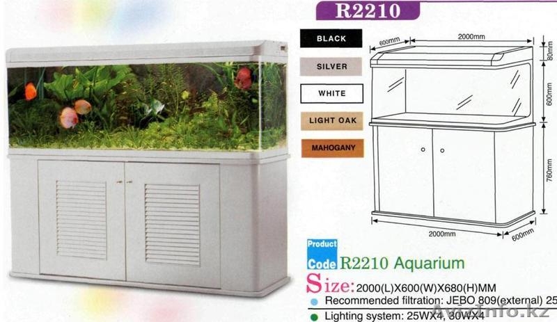 ЗООМИР сеть товаров для животных - Изображение #2, Объявление #1187216