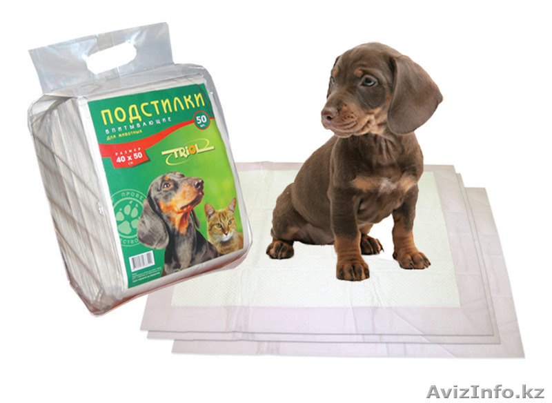 ЗООМИР сеть товаров для животных - Изображение #5, Объявление #1187216