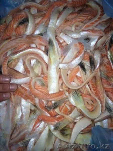 Cертифицированная, высококачественная рыба мороженая - Изображение #7, Объявление #1250964