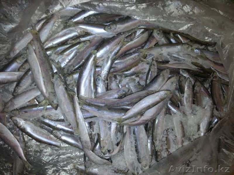 Cертифицированная, высококачественная рыба мороженая - Изображение #1, Объявление #1250964