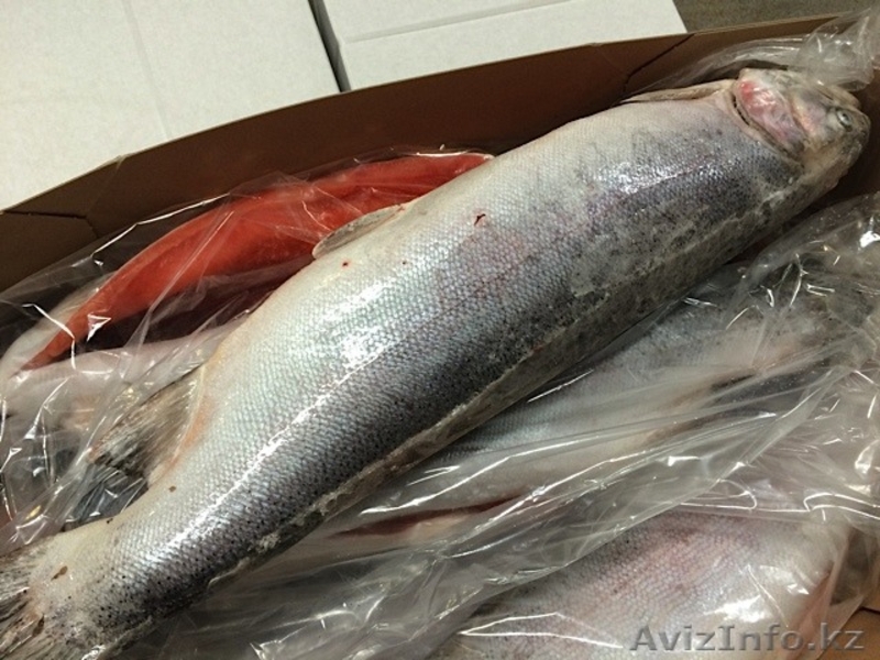Cертифицированная, высококачественная рыба мороженая - Изображение #4, Объявление #1250964