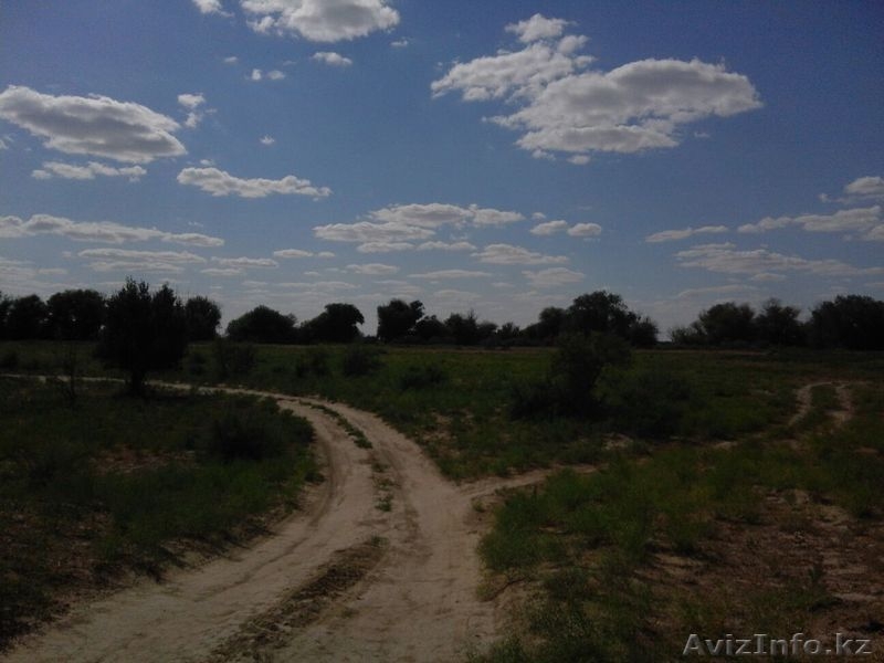 Тубек сатылады орал быгытына карай жолдан 800 метр. 26 гектар. Айналасы су - Изображение #1, Объявление #1315854