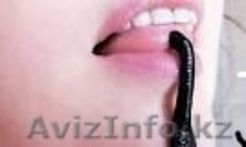 медицинская пиявка - Изображение #1, Объявление #1336585