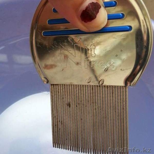 Гребень Нит Фри от педикулеза. - Изображение #3, Объявление #1366260