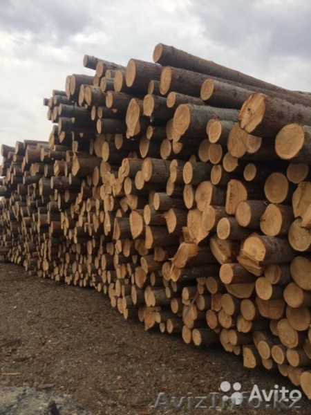 Пиломатериал. Лафеты. Брус. Обрезная Доска. ГОСТ - Изображение #3, Объявление #1610316